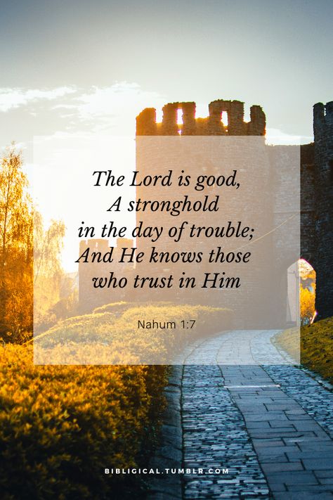 Nahum 1 7, Motivational Verses, Motivational Bible Verses, Trust In Him, Living Photo, Beautiful Scripture, Bible Study Guide, The Lord Is Good, Scripture Pictures