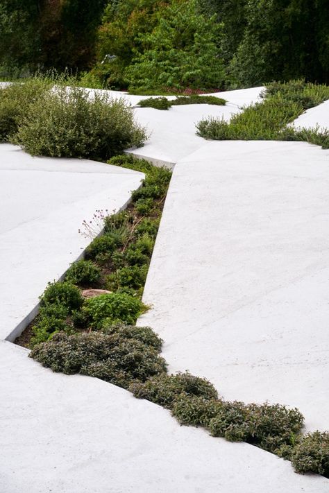 Roof Garden NINA by agraff arkitektur « Landscape Architecture Platform | Landezine Garden Line, Areas Verdes, Glass Roof, Landscape Materials, Roof Garden, Modern Landscaping, Green Roof, Contemporary Landscape, Outdoor Areas