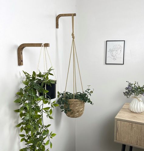 This beautiful 6"x4" wooden planter hook for wall makes for the perfect addition to any living space. Perfectly handmade with a minimalist design, the rectangular bracket is both stylish and supportive for your plants. It includes all hardware for easy installation on both brick and concrete walls. An excellent choice for any plant-lovers. DIMENSIONS: Plant Hanger Hook (LxH) - 6 inch x 4 inch (15 cm x 10 cm) PRODUCT MATERIAL: Birch Plywood, hand-finished COLOR: Walnut MAX LOAD: Up to 9 lb (4 kg) Wall Hung Plant Pots, Plant Hanging From Wall, Propagation Wall Living Room, Plants On Hooks, Hanging Plant In Living Room, Hanging Plant Stand Indoor, Hanging Plants From Wall, Corner Hanging Plant, Hanging Wall Plants Indoor