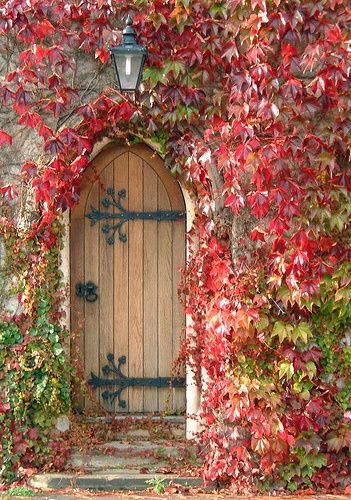 . Cottage Door, When One Door Closes, Door Inspiration, Cool Doors, Old Door, Garden Doors, Old Doors, Unique Doors, Fall Pictures