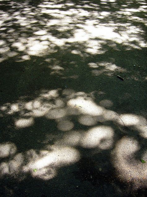 Shadow Photography, Dappled Light, Secret Code, Travel Industry, 背景 シンプル, Feeling Lost, Morning Light, The Shadow, Nature Aesthetic