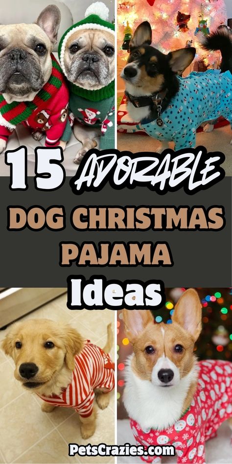 "Image showcasing '15 Adorable Dog Christmas Pajama Ideas' with four featured designs. Top left shows French Bulldogs in festive sweaters, top right highlights a dog in a blue holiday onesie with a Christmas tree backdrop, bottom left displays a Golden Retriever puppy in red-striped pajamas, and bottom right features a Corgi in snowflake-patterned red pajamas. The bold text in white and brown emphasizes the cozy and festive holiday theme. Pajama Ideas, Dog Pjs, Christmas Dog Outfits, Dog Clothes Diy, Christmas Pjs, Dog Pajamas, Holiday Magic, Dog Christmas, Family Celebrations