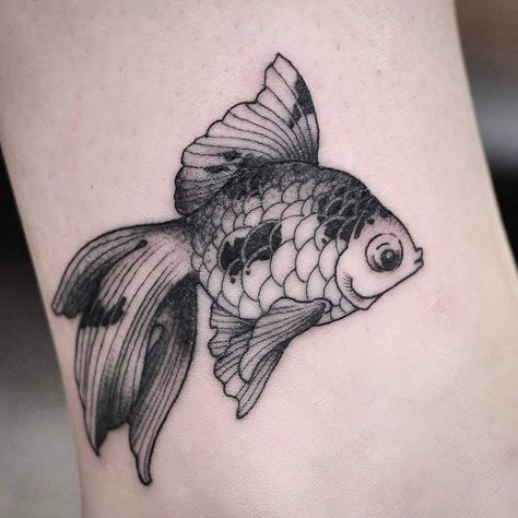 Goldfish Tattoo Design, Gold Fish Tattoo, Goldfish Tattoo, Tattoo Shading, Fine Line Tattoo, Carpe Koi, Fish Tattoo, Tattoo Portfolio, Line Tattoo