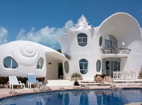 Shell House Architecture in Mexico: http://www.completely-coastal.com/2013/02/shell-house.html Seashell House, Architecture Cool, Shell House, Interesting Architecture, Crazy House, Unusual Buildings, Magical Home, Unusual Homes, Amazing Buildings