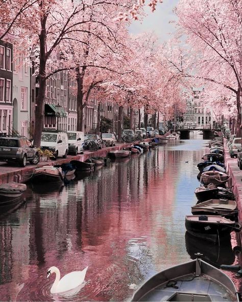 Amsterdam Tourist Attractions, Amsterdam Attractions, I Amsterdam, Amsterdam Travel, Amsterdam City, Travel Alone, Beautiful Places To Travel, Pretty Places, Travel Aesthetic