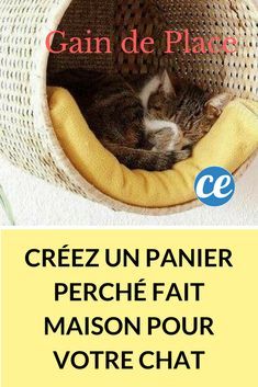 Vous aimeriez créer un petit nid douillet pour votre chat, sans que cela ne prenne trop de place chez vous ? On manque toujours de place dans nos petits appartements. Alors, si on ajoute un panier pour chat, c'est vraiment très encombrant. Avec cette astuce, vous allez pouvoir faire plaisir à votre matou, sans encombrer l'appartement. Chat Diy, Cat Behavior, Cat Diy, Diy Stuffed Animals, Kitty Cat, Cat House, Pets Cats, Baby Animals