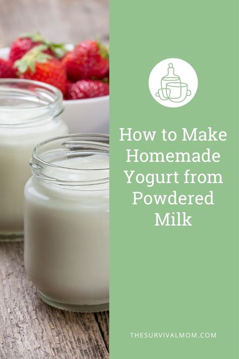 How to Make Homemade Yogurt from Powdered Milk Homemade Yogurt Recipes, Make Greek Yogurt, Homemade Greek Yogurt, Gourmet Grilled Cheese, Making Yogurt, Yogurt Recipe, Making Butter, Dairy Drinks, Powder Recipe