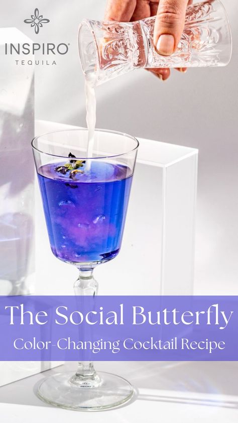 A photo of a blue- purple drink that changes colors. It is garnished with a butterfly pea flower. Text overlay reads, The Social Butterfly Color Changing Cocktail Recipe Party Cocktail Ideas, Pink Alcoholic Drinks, Fancy Cocktails Recipes, Pea Flower Tea, Butterfly Pea Tea, Butterfly Pea Flower Tea, Tequila Cocktail, Butterfly Tea, Easy Cocktail