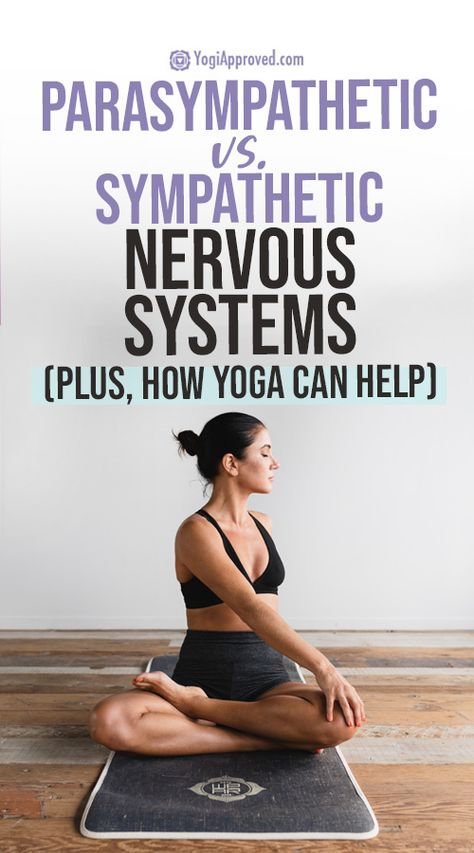 Parasympathetic vs. Sympathetic Nervous System + Yoga | YogiApproved Exercise For Nervous System, Para Sympathetic Nervous System, Nervous System Yoga, Yoga Nervous System, Yoga For Nervous System, Parasympathetic Vs Sympathetic, Sympathetic Vs Parasympathetic, Sympathetic Nervous System, Nervus Vagus