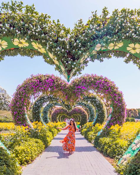 Dancing with joy in the world’s biggest flower land⁣ 😊 💃 Dubai Miracle Garden is world's largest natural flower garden featuring over 50 million flowers and 250 million plants. #flowerpower #flowerporn Million Flowers, Miracle Garden, Dubai Vacation, Dubai Aesthetic, Dubai Tour, Family Tour, Visit Dubai, Dubai City, 50 Million