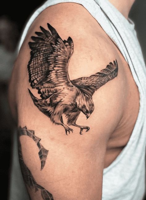 Hawk Tattoo Design Ideas Images Hawk Tattoo Men, Hawk Tattoo Design, Jesse Tattoo, Falcon Tattoo, Hawk Tattoo, Bicep Tattoo, Wolf Tattoo Design, Tattoo Design Ideas, Boy Tattoos