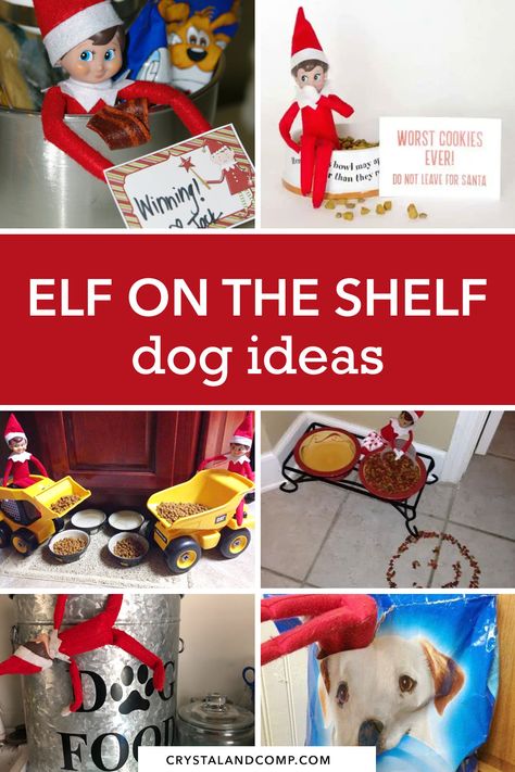 Elf On The Shelf Ideas For Dogs, Elf On The Shelf Dog Treats, Introducing New Elf Pet, Elf And Dog On The Shelf, Elf On A Shelf Dog Ideas, Elf On The Shelf Ideas With Pet Dog, Elf On The Shelf Puppy Ideas, Elf Dog Ideas, Elf On The Shelf Pets Reindeer Arrival