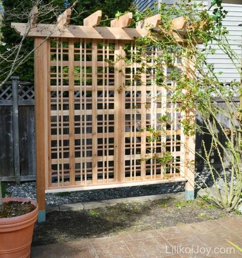 Trellis, has a link for plans. Garden Trellis Designs, Diy Garden Trellis, Cedar Garden, Vertical Vegetable Garden, Pergola Ideas, Diy Trellis, Backyard Privacy, Garden Vines, Trellis Design