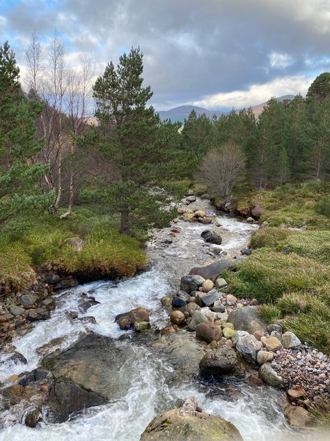 Scotland Forest, Turn Blue, Forest Mountain, Forest Park, British Isles, Scottish Highlands, Photo Reference, Glasgow, Scotland