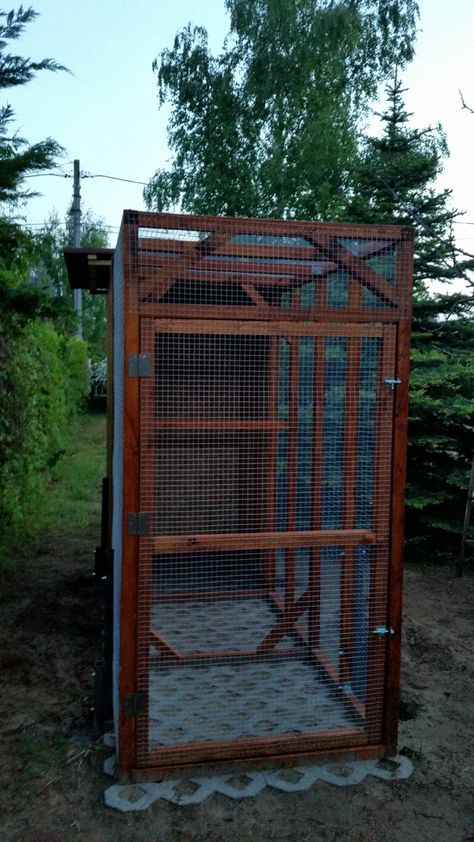 Outdoor Aviary, Aviary Ideas, Diy Bird Cage, Paver Blocks, Bird Houses Ideas Diy, Bird Aviary, Outdoor Paradise, Easy Backyard, Sharing Economy