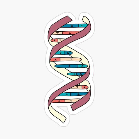 Get my art printed on awesome products. Support me at Redbubble #RBandME: https://www.redbubble.com/i/sticker/DNA-Strand-by-KatherineWinner/142220649.EJUG5?asc=u Microbiology Stickers, Biology Stickers, Dna Sticker, Study Stickers, Dna Strand, Funny Laptop Stickers, Science Stickers, Flower Graphic Design, Biology Notes