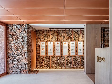 Gallery of Bioaroma Museum & Experience Store / KAAF | Kitriniaris Associates Architecture Firm - 17 Museum Experience, Store Architecture, Museum Interior, Colour Architecture, Soul Design, Museum Displays, Traditional Building, Fine Dining Restaurant, Museum Exhibition