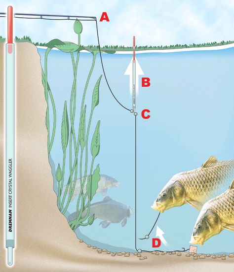 02.-LIFT-METHOD.gif (600×699) Carp Fishing Rigs, Carp Rigs, How To Fish, Fishing 101, John Wilson, Bass Fishing Tips, Walleye Fishing, Fishing Rigs, Crappie Fishing