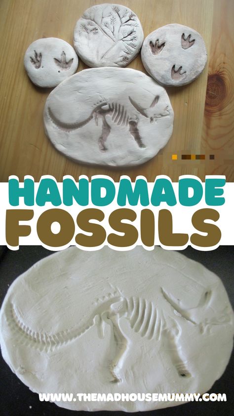 These sweet little handmade fossils are the prefect craft for children who love dinosaurs and archaeology! Diy fossil craft for kids. #craftsforkids #claycraftsforkids #fossilhunting #craftsforpreschoolers #dinosaurcrafts Make Your Own Fossils, Fossil Imprint Activity, How To Make Dinosaur Fossils, Fossil Projects For Middle School, Diy Dinosaur Fossils, Kids Fossil Dig, Fossil Projects For Kids, Fossil Art Project, Archeology Activities For Kids