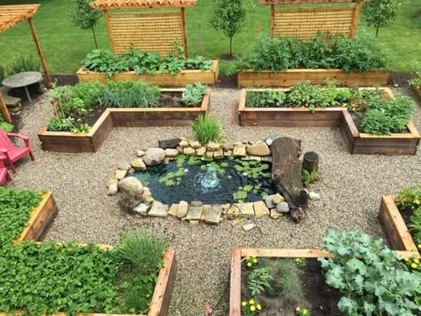 Kitchen Garden Layout, Backyard Garden Layout, Potager Garden, Veg Garden, Casa Exterior, Home Vegetable Garden, Vegetable Garden Design, Backyard Garden Design, Front Yard Garden