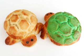 Turtle Bread Recipe, Turtle Bread, Mexican Bakery, Mexican Sweets, Healthy Food Photography, Mexican Sweet Breads, Food Contest, Mexican Dessert, Pastry Desserts