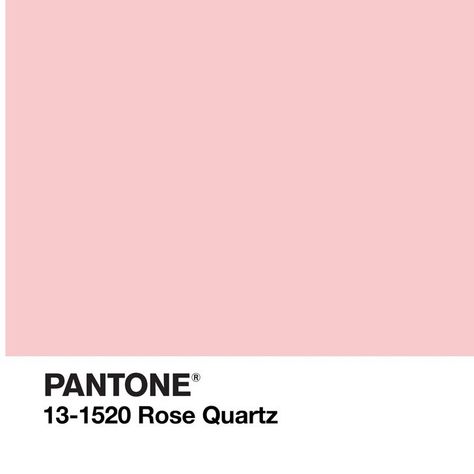 Pantone Rose Quartz colour | Millennial pink ideas for your perfect home Pink Pantone, Pink Apartment, Pink Ideas, Pantone Colour Palettes, Millennial Pink, Quartz Color, Pink Rose Quartz, Brand Color Palette, Pink Kitchen