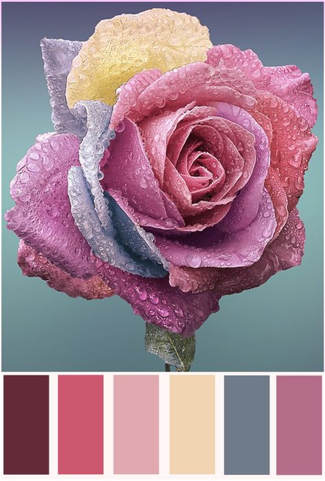 color palette Harmony Color Palette, Color Harmony Art, Paint Color Combos, Art Deco Ideas, Paint Color Schemes, Color Balance, Color Harmony, Color Swatch, Pantone Color