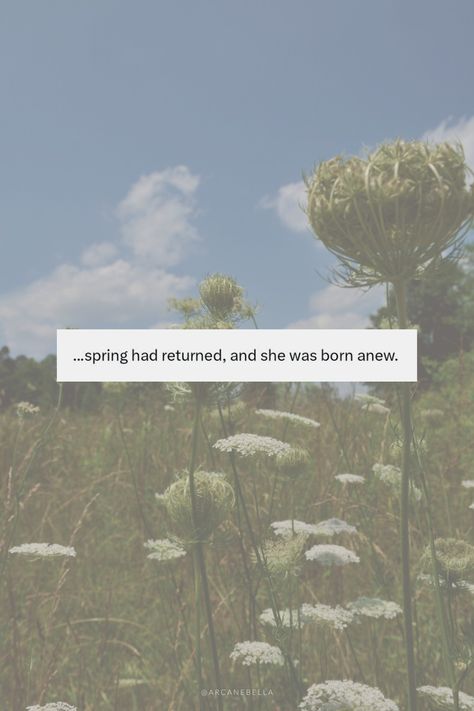 Wildflower background with some sky showing and a text overtop with a white background that says ...spring had returned, and she was born anew. Time To Hibernate Quotes, Spring Equinox Aesthetic Wallpaper, She Is Back Quotes, Aesthetic Spring Quotes, Coming Back To Myself Quotes, April Quotes Spring, Spring Wallpaper Quotes, April Quotes Aesthetic, Aesthetic Pfp Quotes