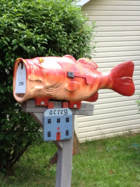 Cool fish mailbox.   Only in Wisconsin Mail Box Ideas, Beautiful Mailbox, Cool Mailboxes, Peacock Bass, Diy Mailbox, Unique Mailboxes, Custom Mailboxes, Mailbox Design, Cool Fish