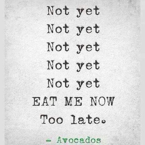 Not yet eat me now too late avocado Pinterest Humor, Eat Me, A Quote, How I Feel, Bones Funny, Too Late, Make Me Happy, Wise Words, I Laughed