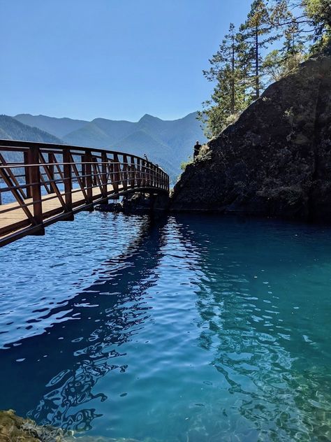 Devil's Punchbowl: Spectacular Swimming along the Spruce Railroad Trail Lake Crescent Washington, Washington Lakes, Lake Crescent, Lake Swimming, Pacific Northwest Travel, Oregon Waterfalls, The Spruce, Swimming Hole, West Coast Road Trip