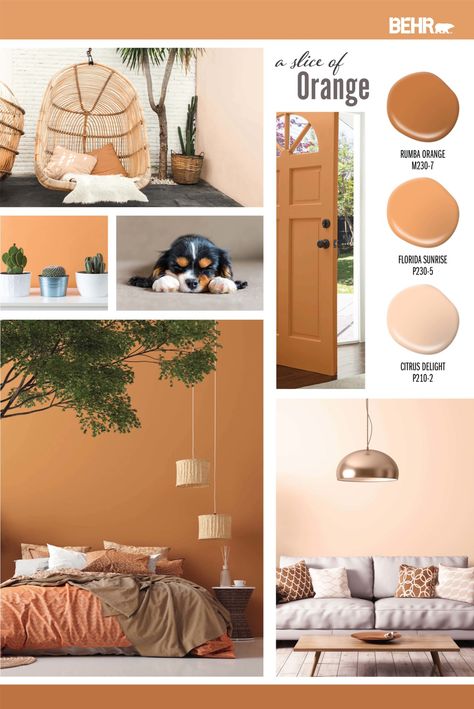 A Slice of Orange - Colorfully BEHR Orange Wall Paint Ideas Living Room, Orange Paint Colors For Kitchen, Orange Paint Colors For Bedroom, Behr Orange Paint Colors, Orange Wall Bedroom, Best Orange Paint Colors, Orange Painting Ideas, Orange Accent Wall, Apartment Paint