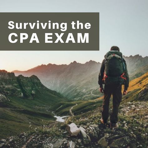 Future Cpa, Cpa Exam Studying, Pass The Exam, Accounting Career, Cpa Exam, Exam Study Tips, Certified Public Accountant, Exam Study, Time Of Your Life