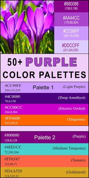 Purple Color Palette (Combinations, Schemes & Ideas) – DIY Projects, Patterns, Monograms, Designs, Templates Color Palette For Purple, Quilt Color Schemes Colour Palettes, Colors That Go With Lavender, Purple Color Palette Combination, Color Combos Colours That Go Together, Color Palette Purple Colour Combinations, Colors That Go With Purple, What Colors Go With Purple, Purple And Orange Color Palette