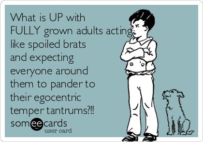 What is UP with FULLY grown adults acting like spoiled brats and expecting everyone around them to pander to their egocentric temper tantrums?!! Tantrums Quotes, Childish Quotes, Entitlement Quotes, Quotes For Adults, Spoiled Brat, Temper Tantrums, Child Support, Genius Quotes, Funny Family