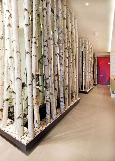 12 Ways To Use Actual Birch Trees In Your Home Birch Tree Planter, Birch Branches Decor, Birch Tree Crafts Ideas, Lighted Birch Tree Decor Ideas, Diy Birch Tree Decor, Window Stickers Privacy, Birch Tree Decor, River Birch, Tree Planters