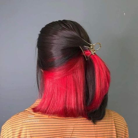 Bottom Half Red Hair, Half Red Hair, Red Hair Underneath, Hair Dyed Underneath, Underneath Hair Color Ideas, Underneath Hair Color, Hidden Hair Color, Half Dyed Hair, Underneath Hair