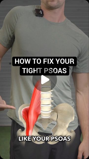 Conor Harris on Instagram: "You can stretch and roll out you Psoas all day long, but if you don’t understand why it’s tight in the first place…  You’ll probably not get the results you’re looking for. ——— #psoas #psoasstretch #psoasrelease #hipflexor #hipflexors #hipflexorstretch #hipflexorrelease #hipmobility #posture #posturecorrection" Hip Stretches For Pain, Psoas Stretches, Psoas Muscle Pain, Ms Exercises, Psoas Stretch, Psoas Release, Piriformis Stretch, Muscle Stretches, Hip Flexor Stretch