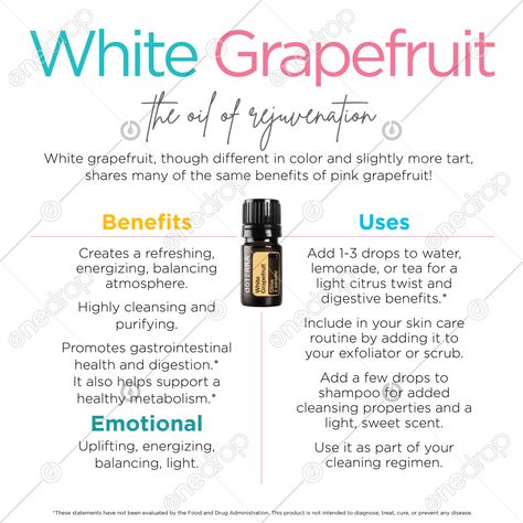 White Grapefruit Doterra, Grapefruit Essential Oil Benefits, Essential Oil Cleaning Spray, Grapefruit Uses, Grapefruit Benefits, Homemade Essential Oil, Healthy Metabolism, Grapefruit Oil, Essential Oils Cleaning