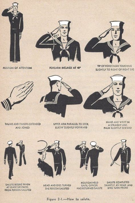 Explanation of the different salutes Navy Seabees, Military Ranks, Navy Day, Go Navy, Navy Life, Navy Chief, Diy Cushions, Hand Signals, Black And White Illustrations