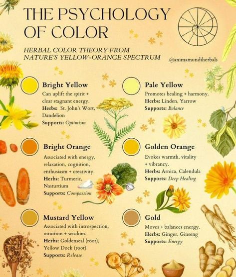 Color Therapy Healing, Herbal Education, Colour Psychology, Green Witchcraft, Color Healing, Witch Spirituality, Magic Herbs, Herbal Magic, Color Meanings