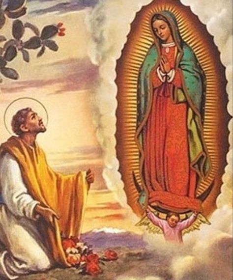 St Juan Diego, Home Alter, Virgin Mary Art, Mexican Culture Art, Catholic Pictures, Juan Diego, Virgin Of Guadalupe, Jesus And Mary Pictures, Our Lady Of Guadalupe