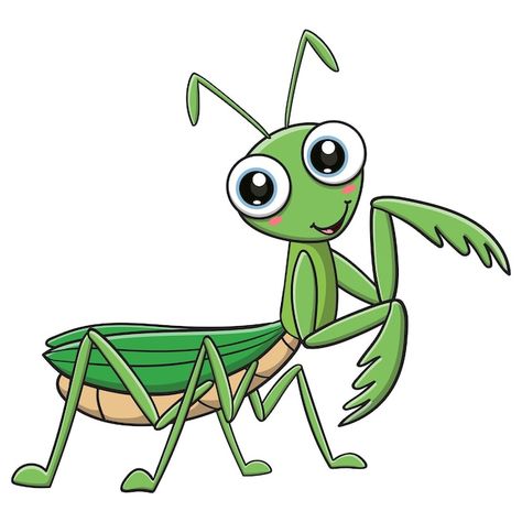 Cute Bug Cartoon, Praying Mantis Cartoon, Grasshopper Cartoon, Mantis Illustration, Praying Mantis Life Cycle, Worm Cartoon, Draw Bugs, Cartoon Insects, Bug Cartoon