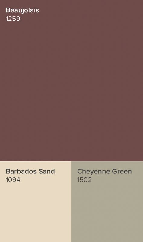 Benjamin Moore Wine Paint Colors, Beaujolais Benjamin Moore, Benjamin Moore Barberry 1244, Cherry Malt Benjamin Moore, Barberry Benjamin Moore, Accent Wall Benjamin Moore, Basement Accent Wall, Burgundy Accent Wall, Burgundy Paint Colors