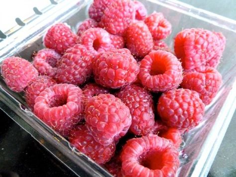 Raspberries Healthy Raspberry Recipes, Raspberry Recipes Easy, Weight Watchers Dessert, Summer Fruit Recipes, Weight Watchers Dessert Recipes, Healthy Low Calorie, Berry Recipes, Cow Cheese, Weight Watchers Breakfast