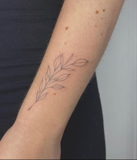 Fine Line Leaf Tattoo Arm, Fineline Leaves Tattoo, Leaves Fine Line Tattoo, Tattoo Leaves Arm, Leaf Arm Tattoo, Claire Tattoo, Leaves Tattoo, Fineline Tattoo, Single Needle Tattoo