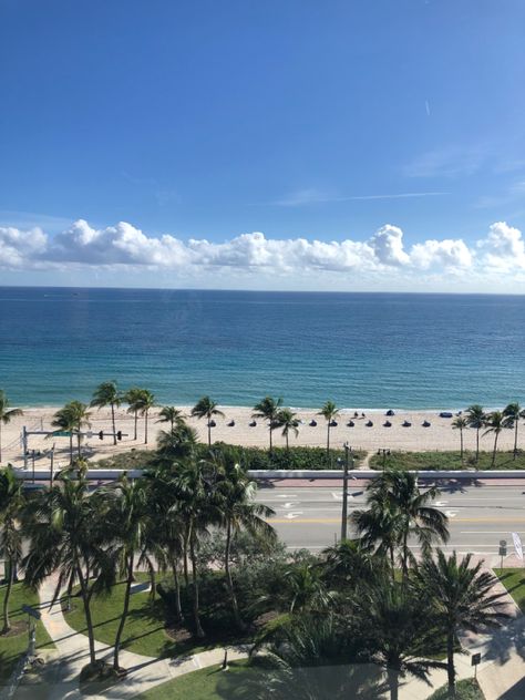 Las olas blvd in fort lauderdale, florida. Views from the very bice big window at the Sonesta Hotel on a gorgeous “winter” day 2020. Ft Lauderdale Aesthetic, Fort Lauderdale Florida Outfits, Fort Lauderdale Florida Aesthetic, Fort Lauderdale Aesthetic, Summer In Usa, Ampersand Tattoo, Las Olas Fort Lauderdale, Fort Lauderdale Apartments, Florida Fort Lauderdale