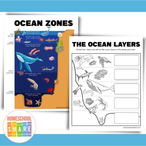 Ocean Zones Worksheets (free!) - Homeschool Share Ocean Zones Printable, Ocean Zones Project, Layers Of The Ocean Activities For Kids, Ocean Zones For Kids, Ocean Diagram, Ecosystem Worksheets, Ocean Education, Ocean Layers, Kindergarten Literacy Worksheets