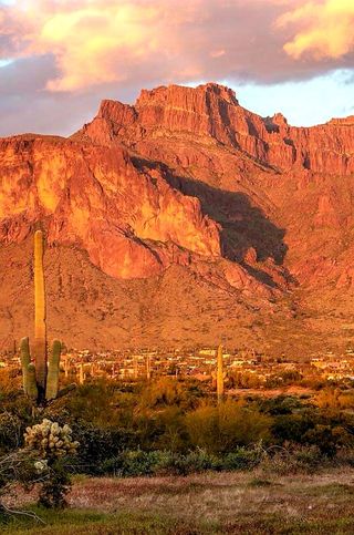 Superstition Mountains Arizona, Apache Junction Arizona, Apache Junction, Superstition Mountains, Western Wallpaper Iphone, Desert Garden, Reverse Image Search, Desert Plants, Bird Photo