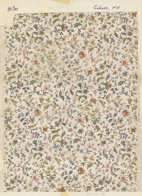 Sidewall ( USA ) Robert Hadley, Chintz Print, Botanical Floral Prints, Floral Room, Floral Prints Pattern, Print Inspiration, Vintage Floral Print, Arts And Crafts Movement, Vintage Textiles